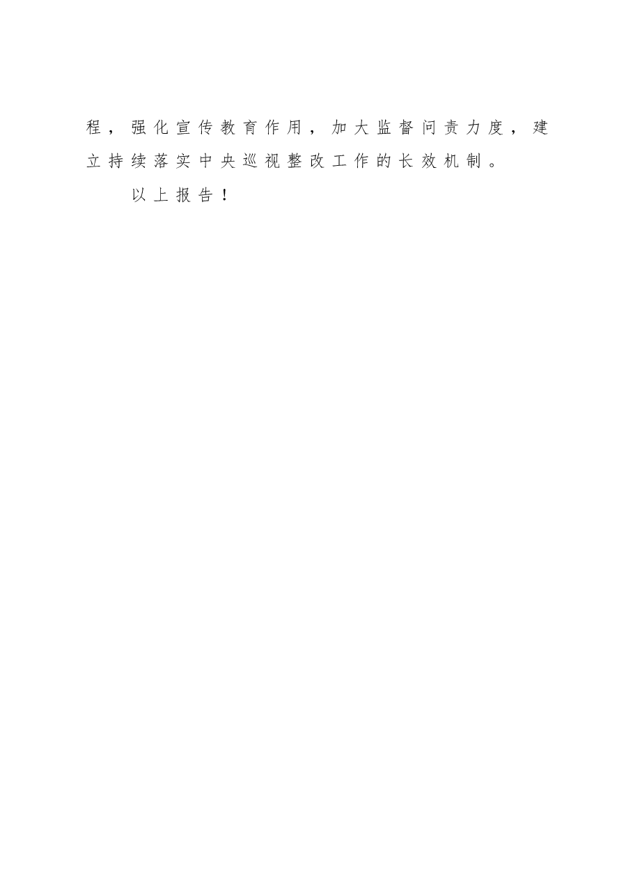 关于对巡视整改情况进行“回头看”工作开展自查自纠情况的报告.doc，第4页预览