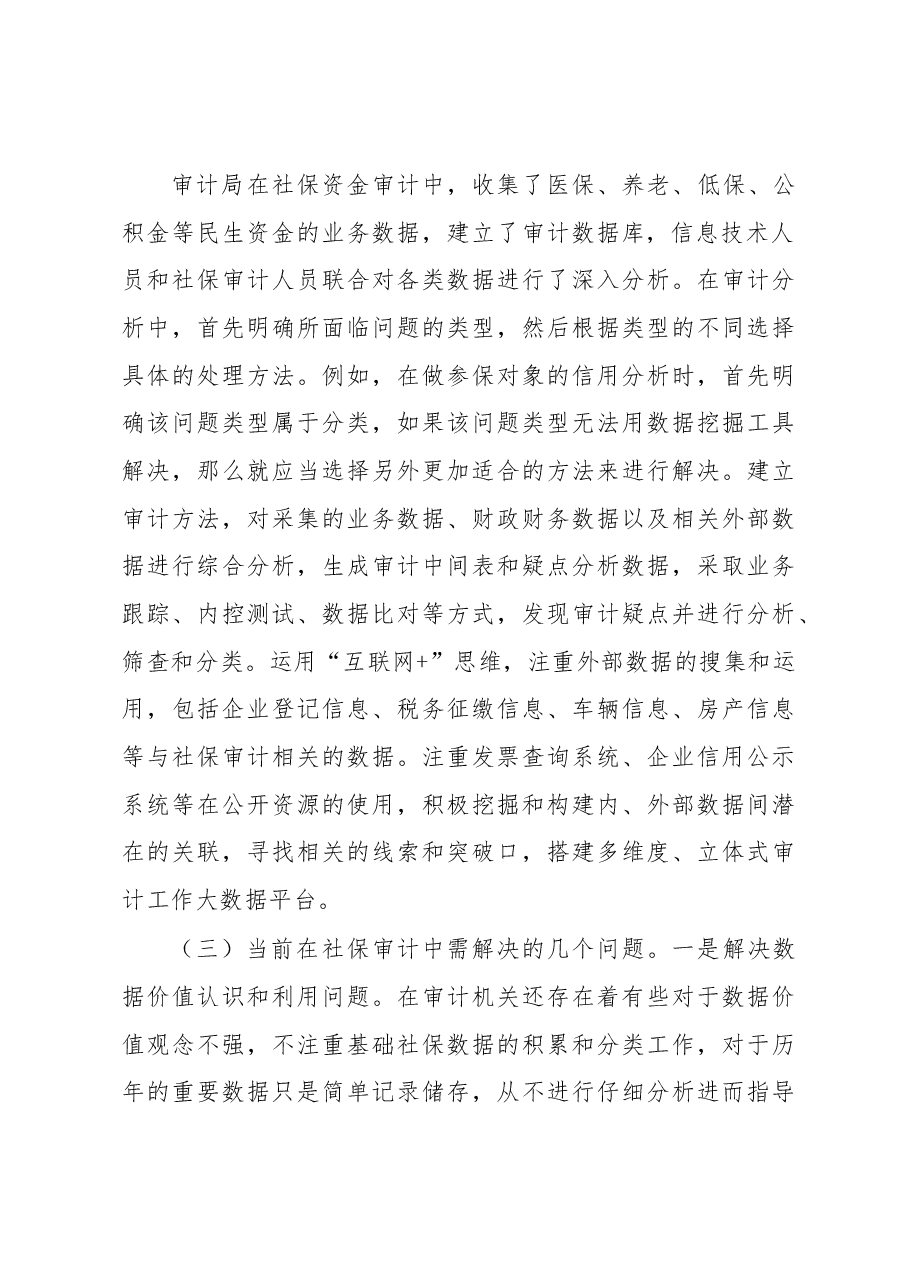 大数据审计调研报告.docx,第4页预览