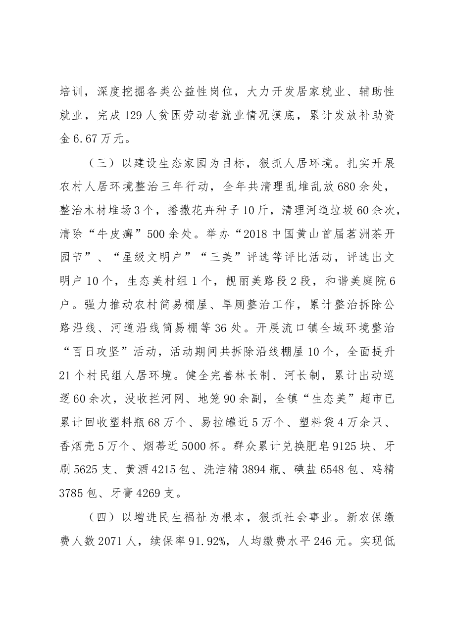 2019年流口镇政府工作报告.docx，第3页预览