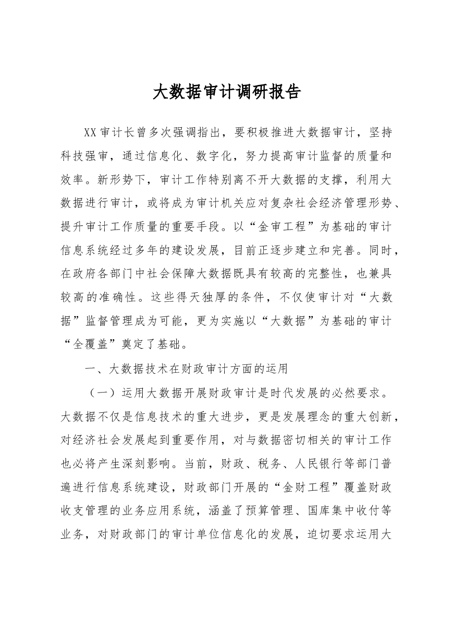 大数据审计调研报告.docx,第1页预览