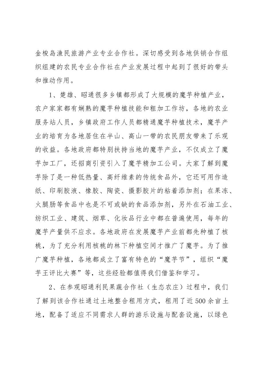 付坝村外出考察学习调研报告.docx,第3页预览