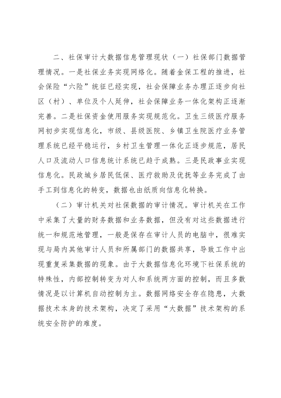 大数据审计调研报告.docx,第3页预览