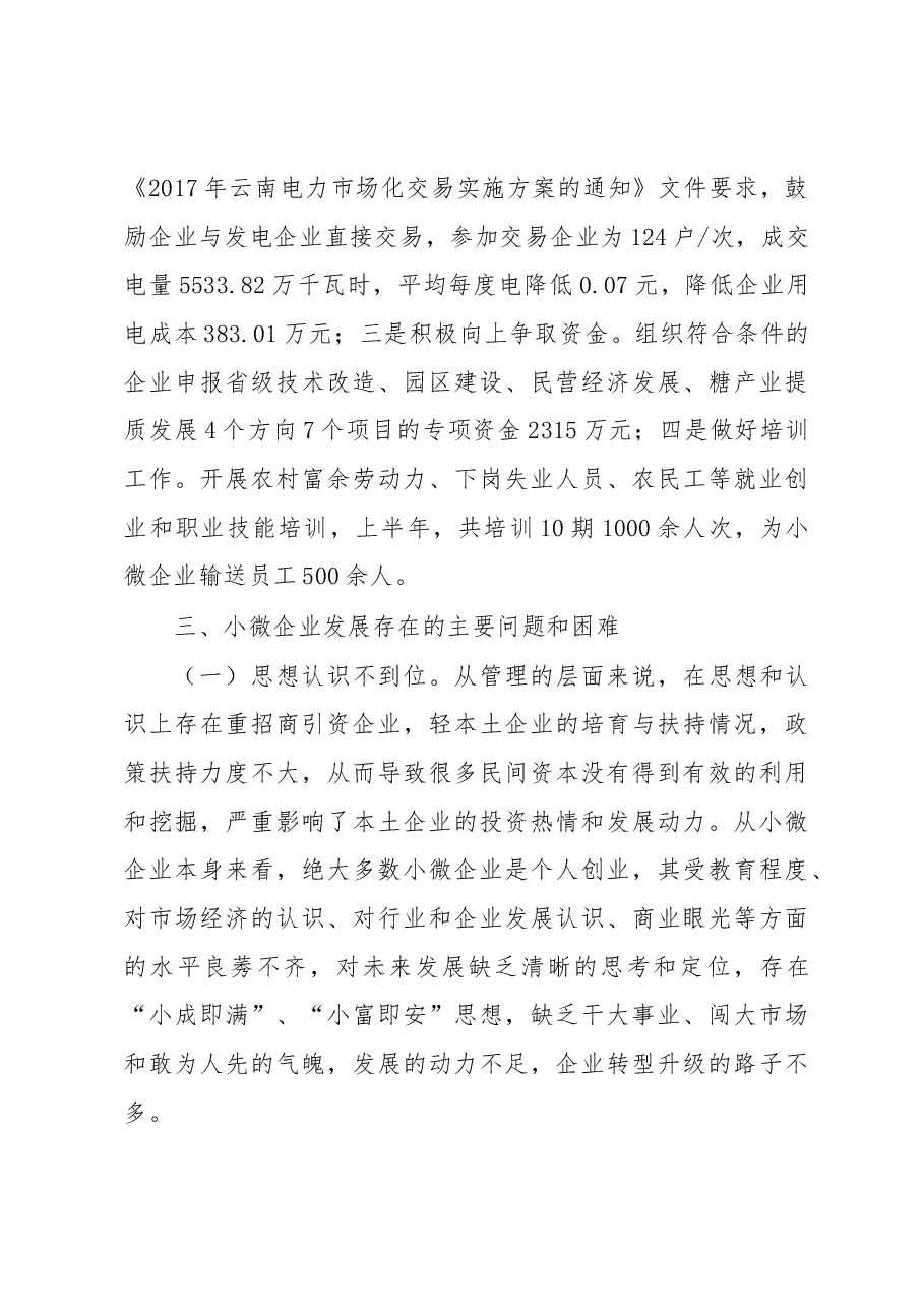 富宁县小微企业发展情况调研报告.docx,第4页预览