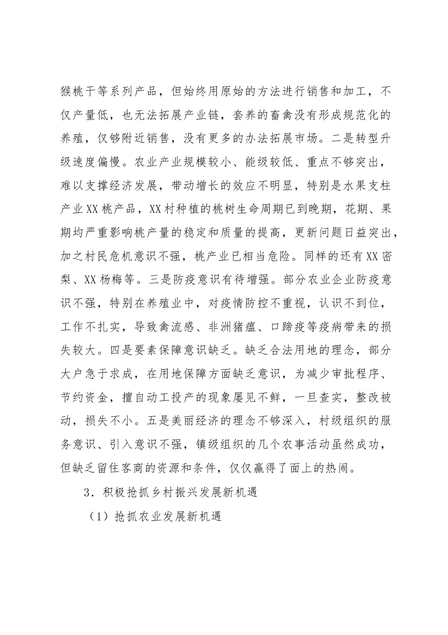 调研报告:镇人民政府关于促进乡村振兴发展战略的思考与对策.docx,第2页预览