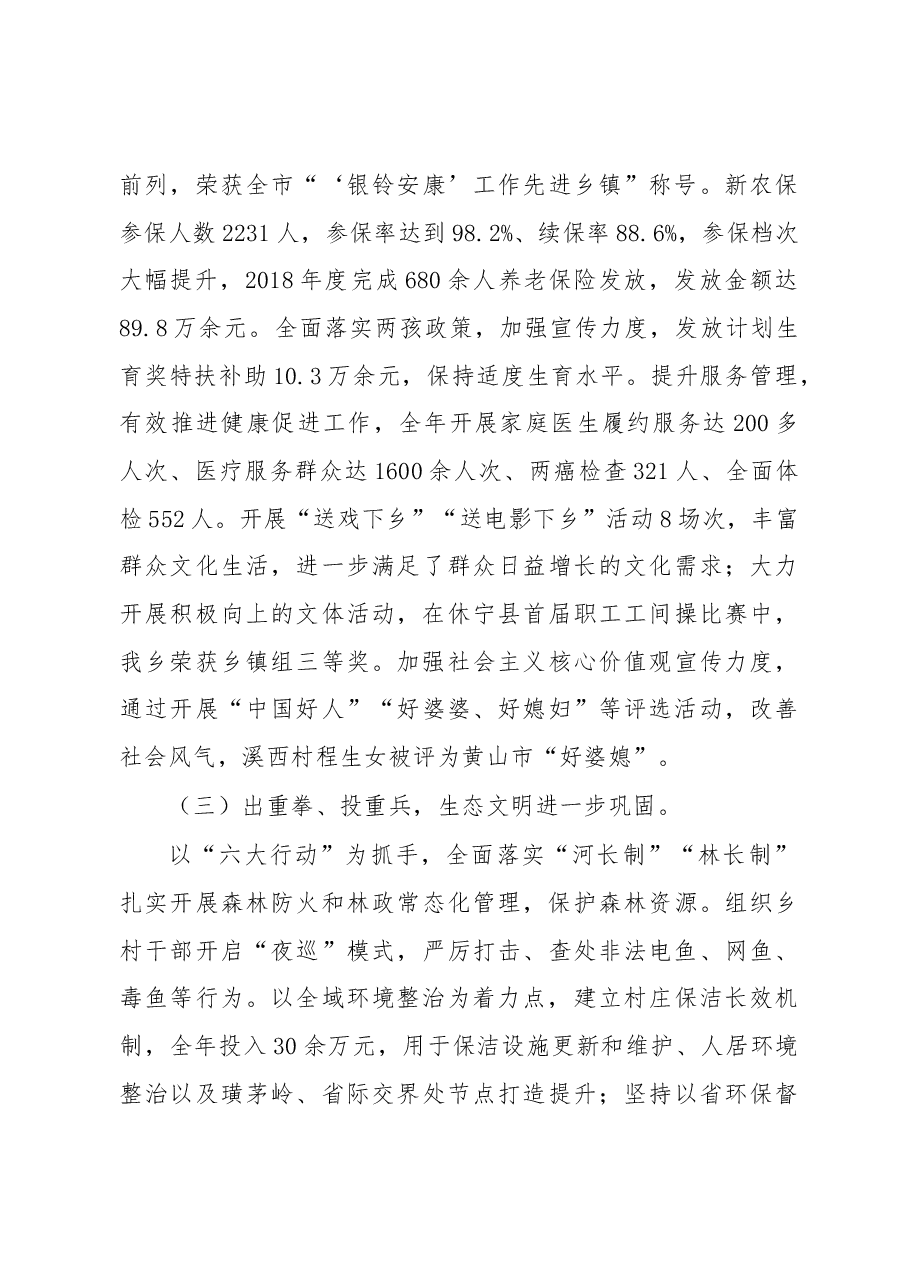 2019年岭南乡人民政府工作报告.docx,第4页预览
