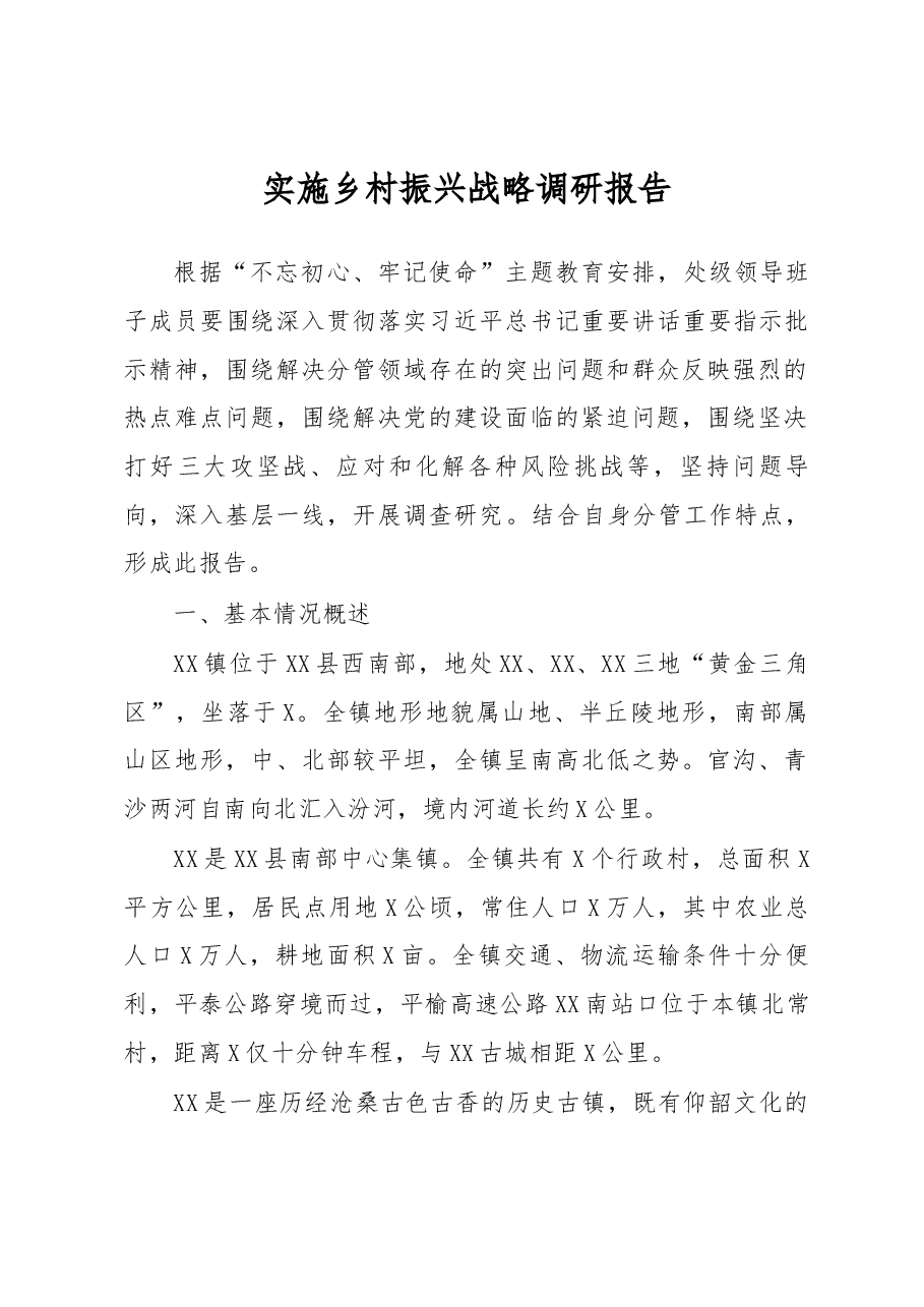 笔友分享实村战研报告不忘初心牢记使命主题教育调查研究成果.docx,第1页预览