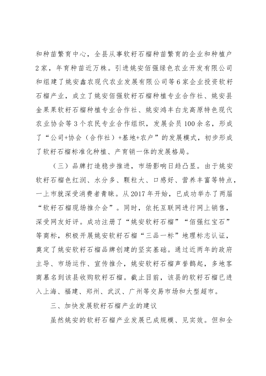 关于把软籽石榴打造成脱贫致富的重要产业的调研报告.docx,第4页预览