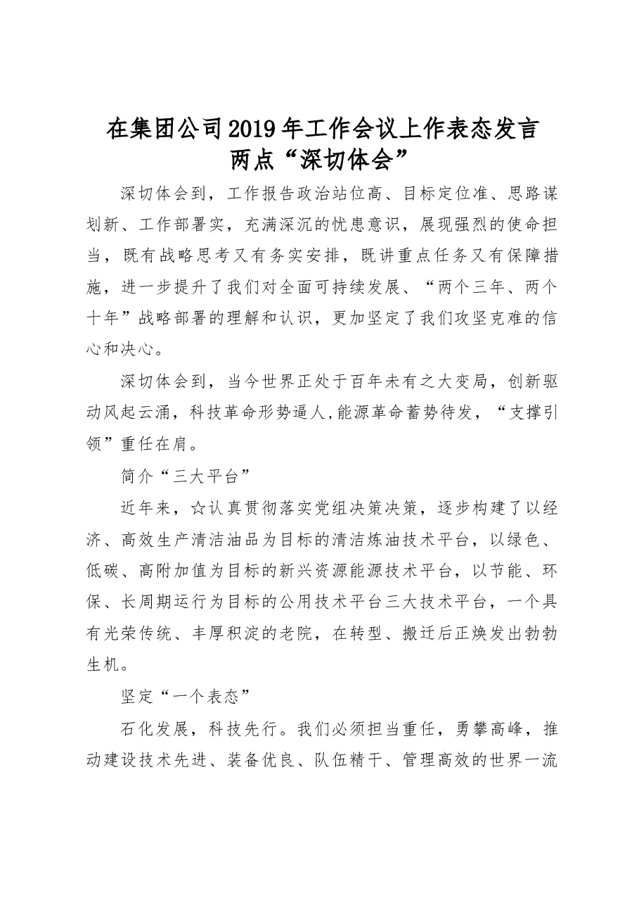 在集团公司2019年工作会议上作表态发言.docx,第1页预览