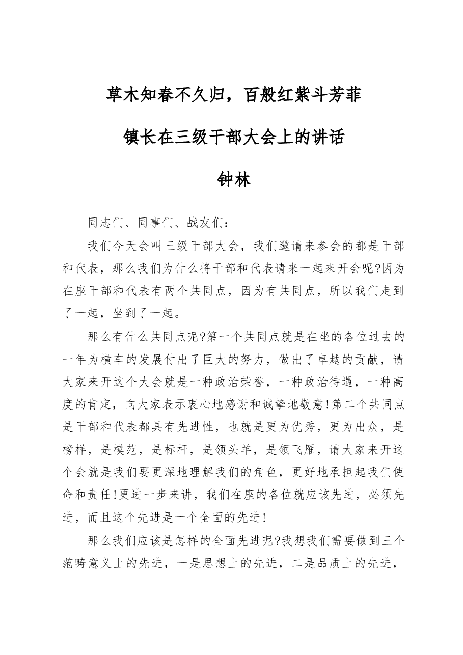 镇长在三级干部大会上的讲话.docx,第1页预览