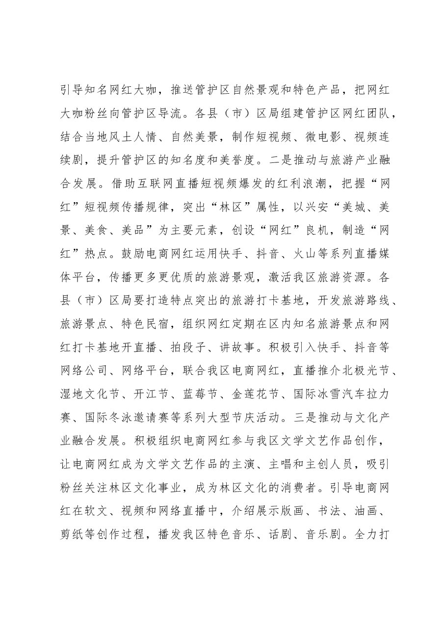 白成君:发展网红经济 助力电商腾飞.doc,第3页预览