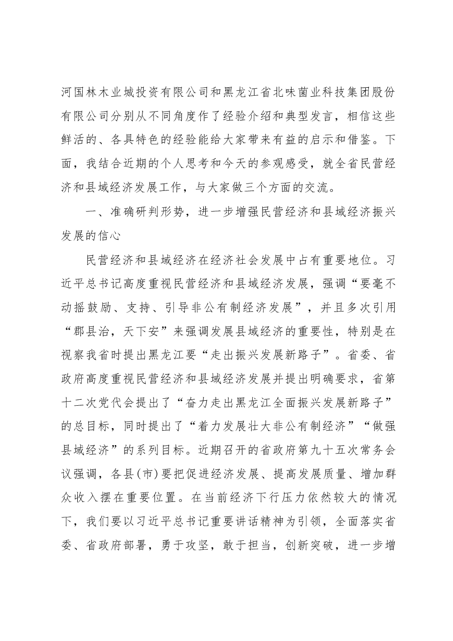 胡亚枫副省长在全省民营经济暨县域经济发展(绥芬河)现场推进电视电话会议上的讲话.docx,第2页预览