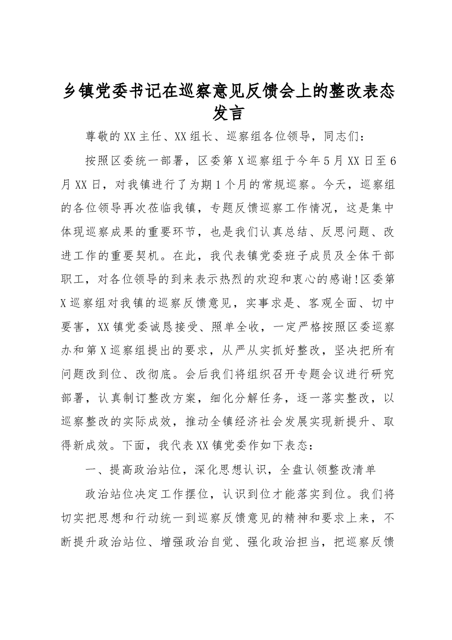乡镇党委书记在巡察意见反馈会上的整改表态发言.docx，第1页预览