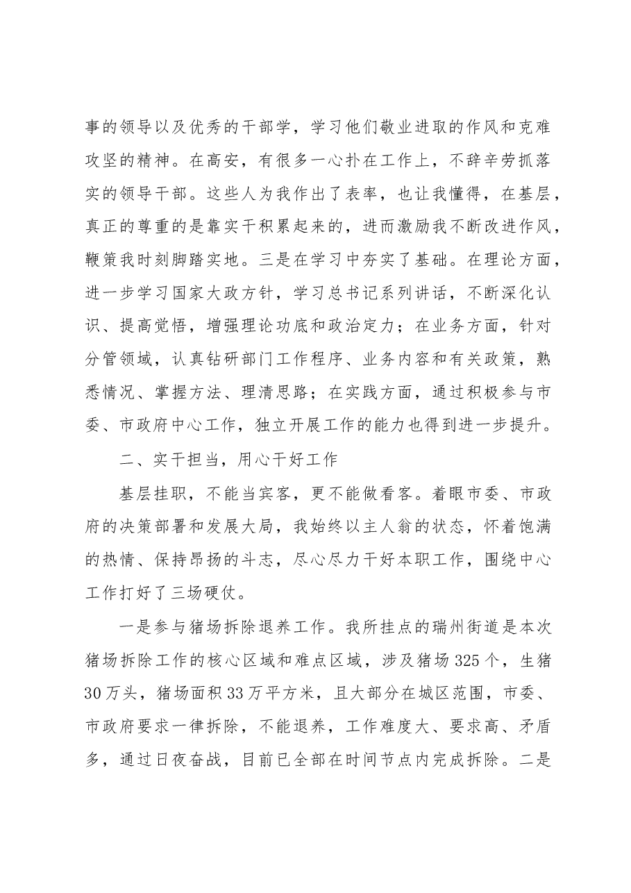 挂职锻炼总结发言.doc,第2页预览