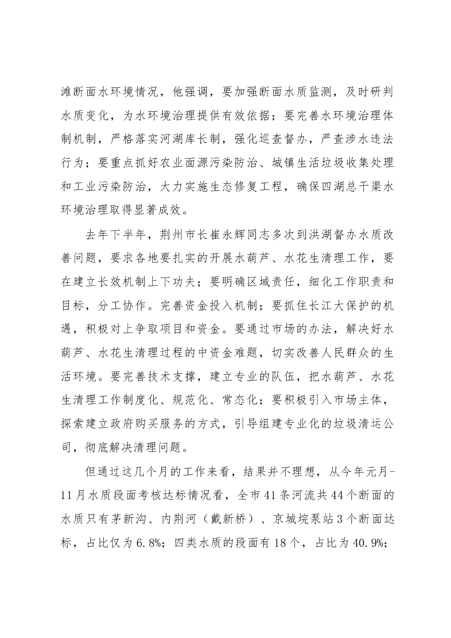在四湖总干渠综合治理推进会上的讲话.docx,第2页预览
