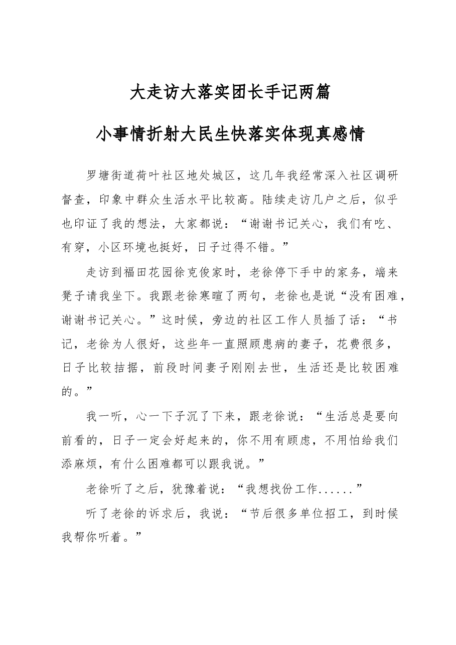 (2篇)大走访大落实团长手记.doc,第1页预览