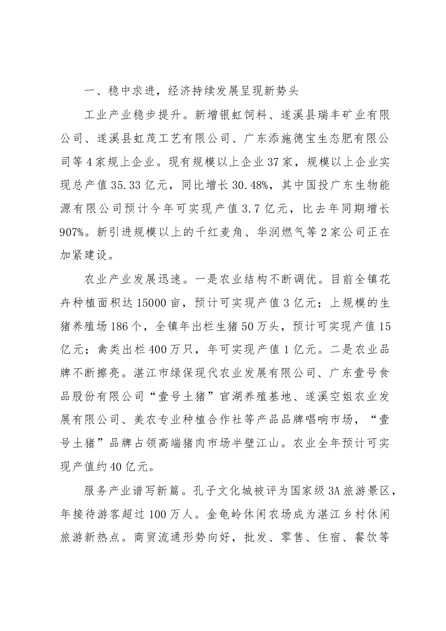 遂城镇2019年政府工作报告.docx,第2页预览