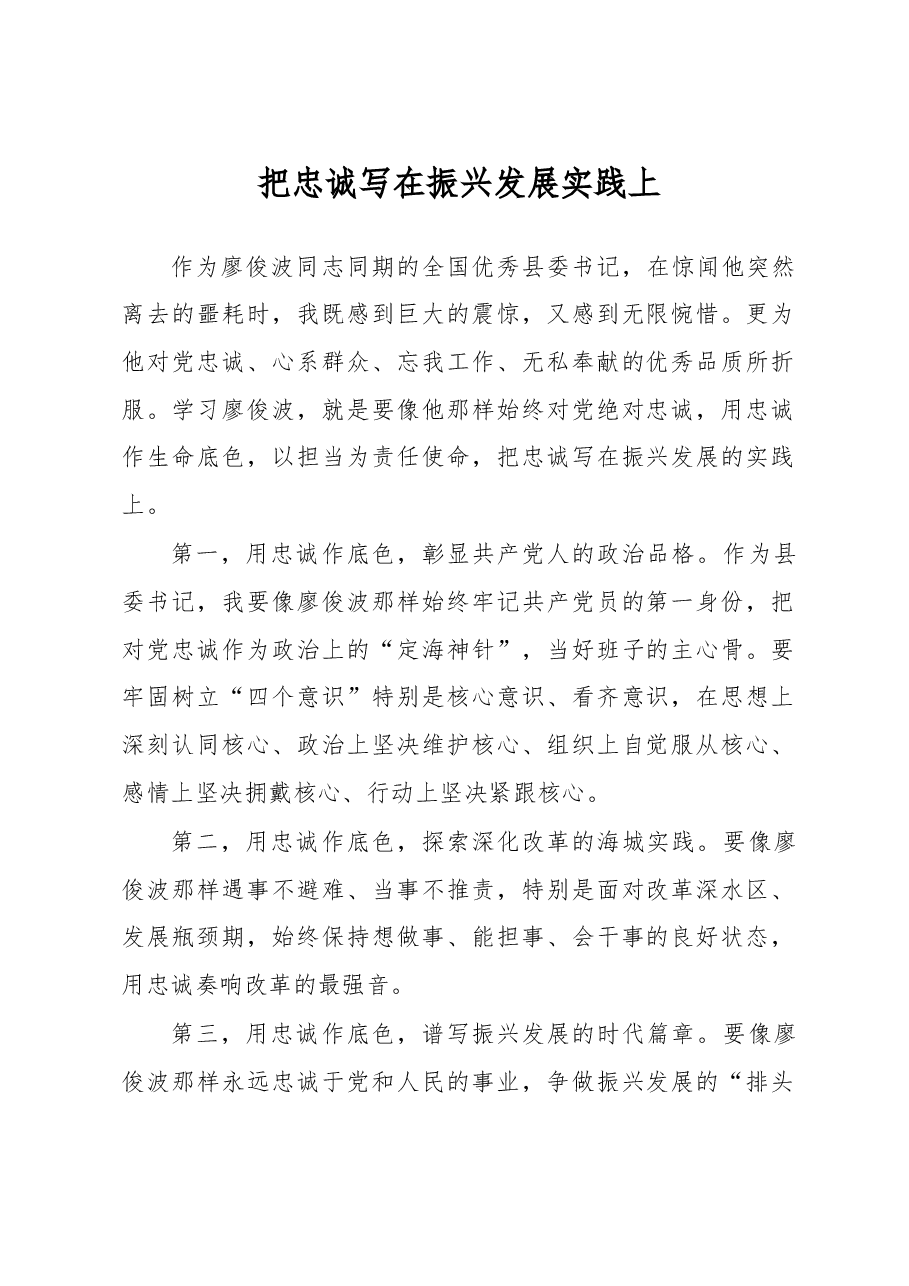 把忠诚写在振兴发展实践上.doc，第1页预览
