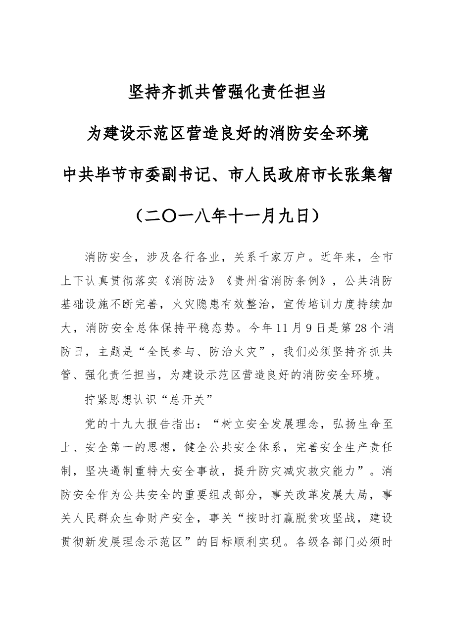 坚持齐抓共管 强化责任担当 为建设示范区营造良好的消防安全环境.docx,第1页预览