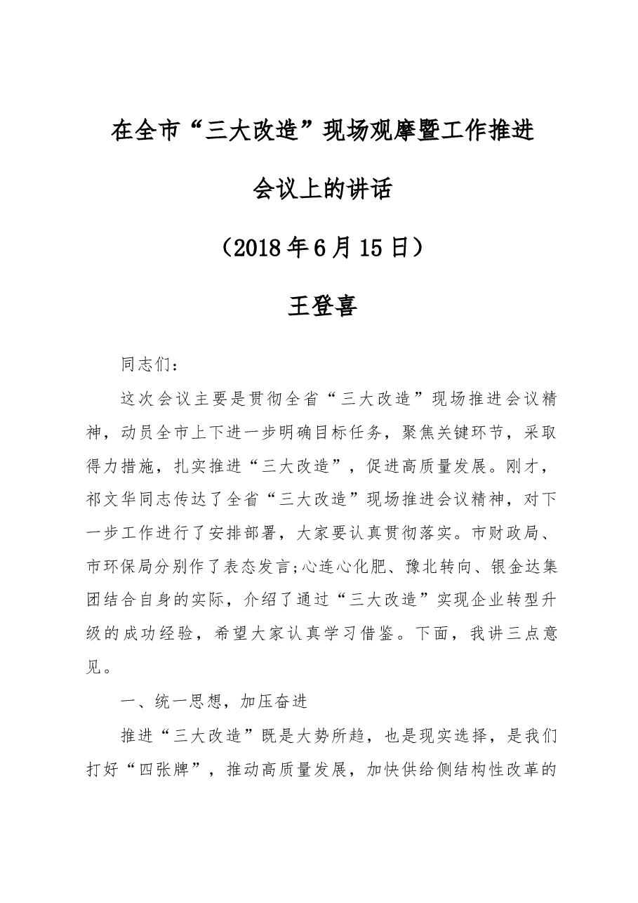 王登喜、祁文华同志在全市“三大改造”现场观摩 .docx，第1页预览