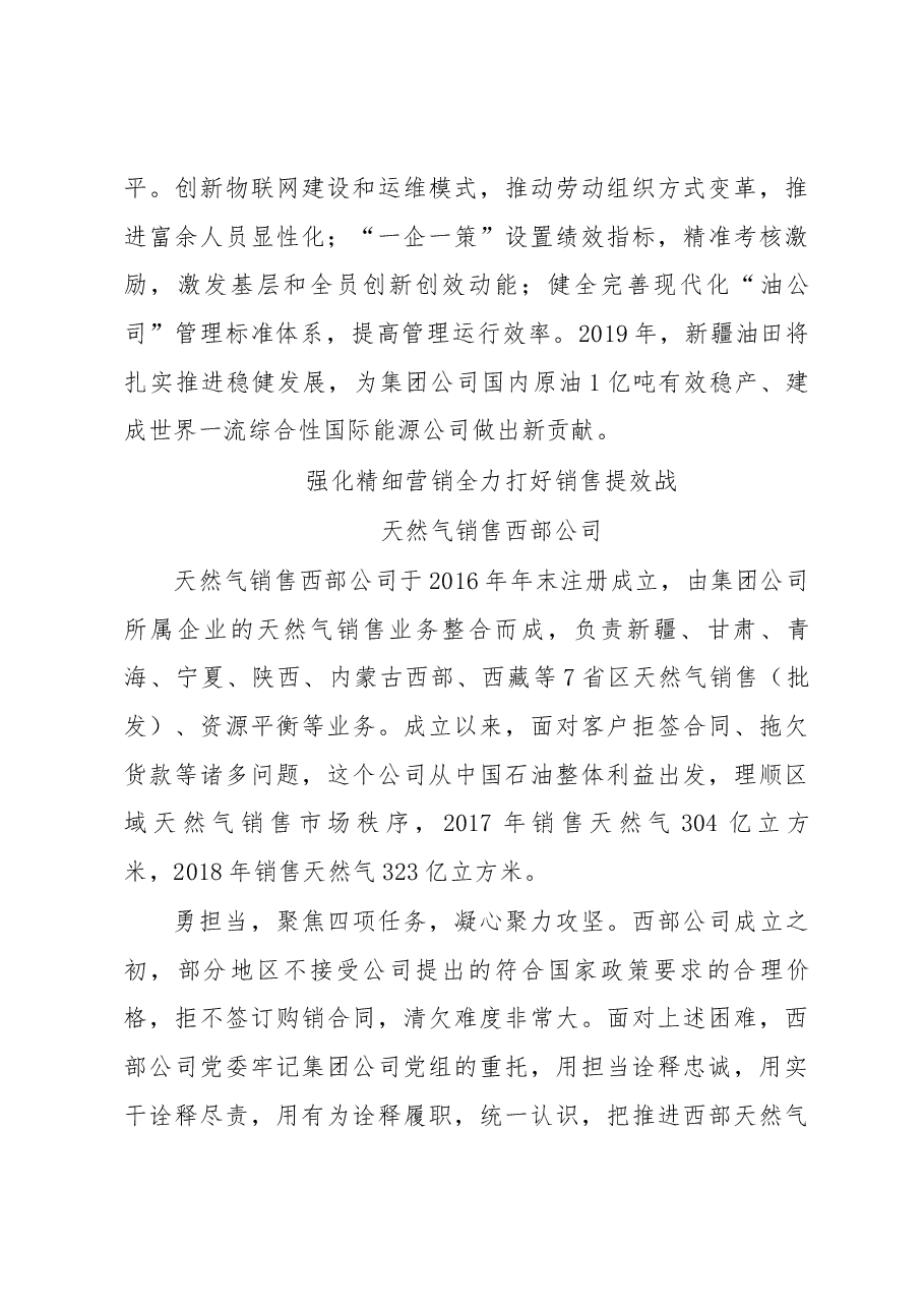 中国石油集团公司2019年工作会议发言材料.docx,第3页预览