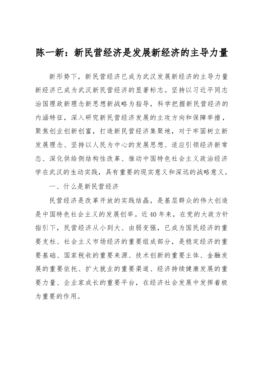陈一新:新民营经济是发展新经济的主导力量.doc,第1页预览