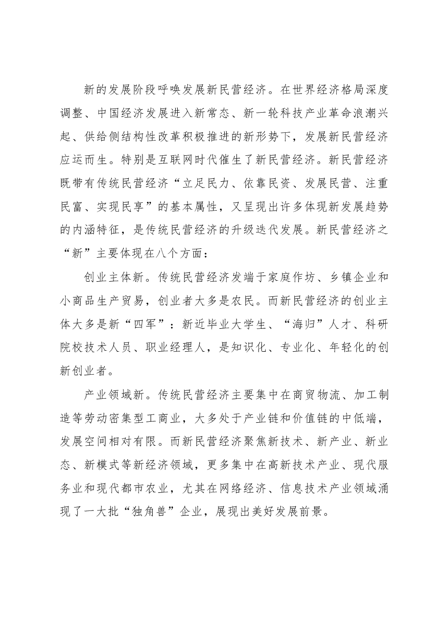陈一新:新民营经济是发展新经济的主导力量.doc,第2页预览