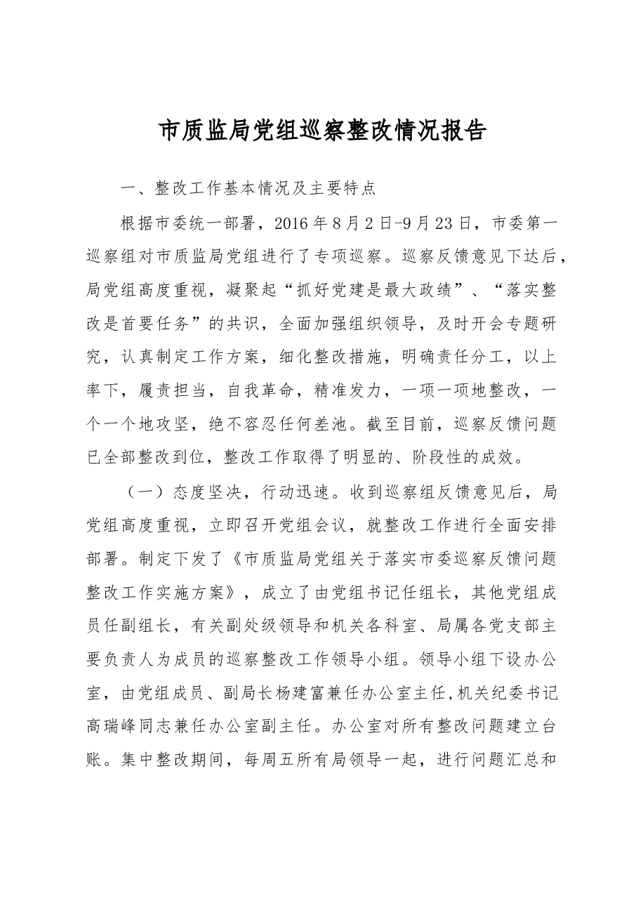 市质监局党组巡察整改情况报告.docx,第1页预览