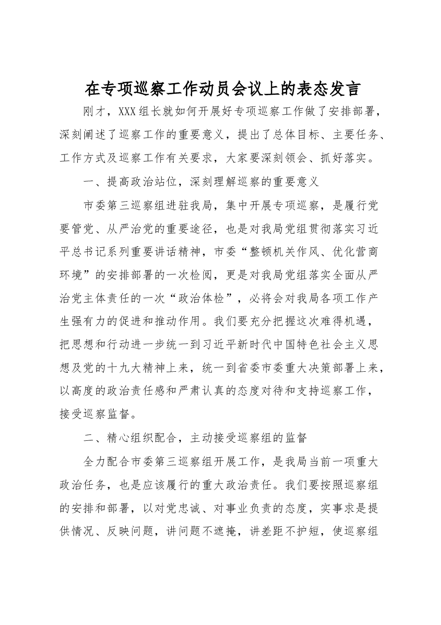 在专项巡察工作动员会议上的表态发言.docx,第1页预览