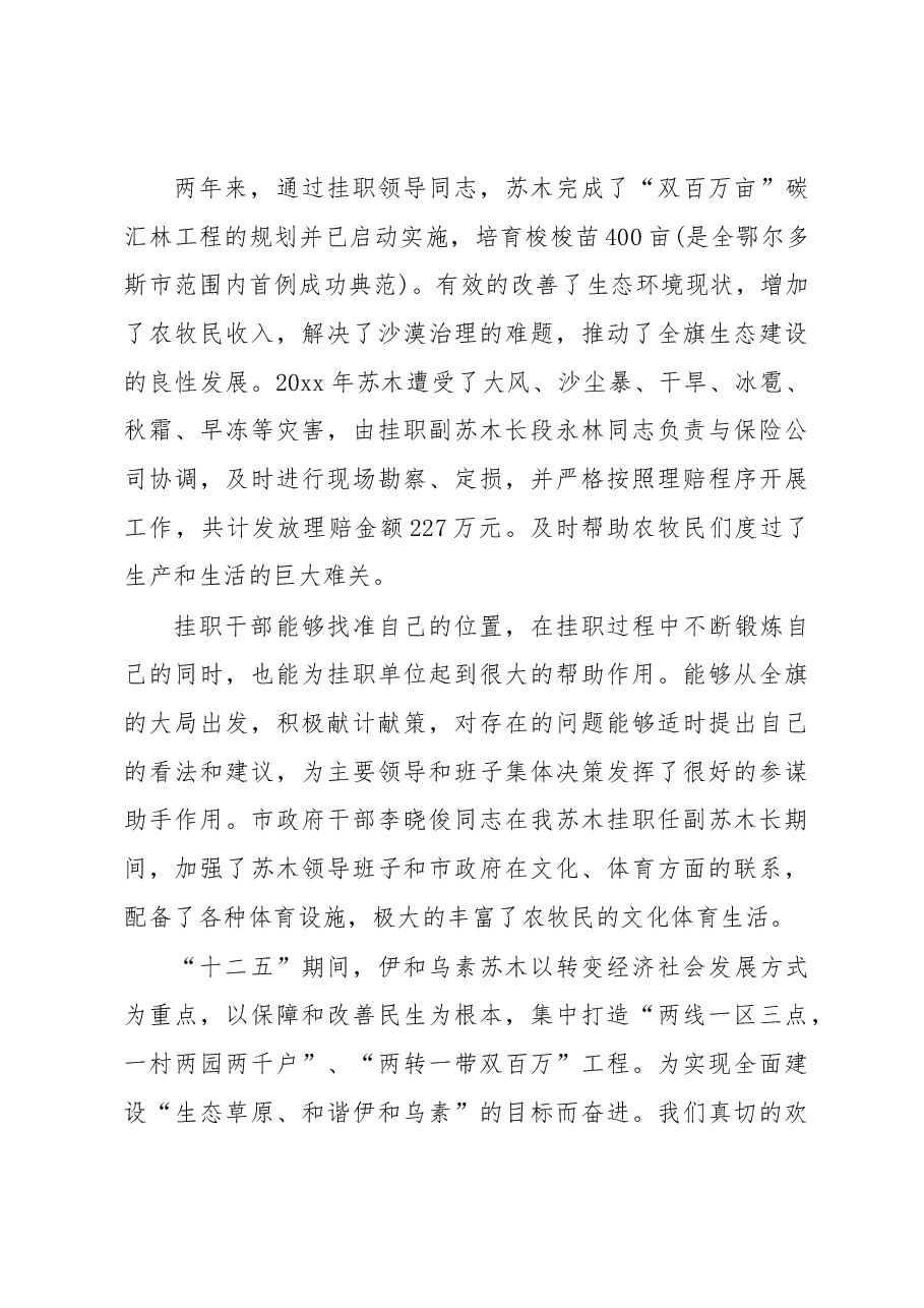 挂职干部交流会讲话稿(一).docx,第3页预览
