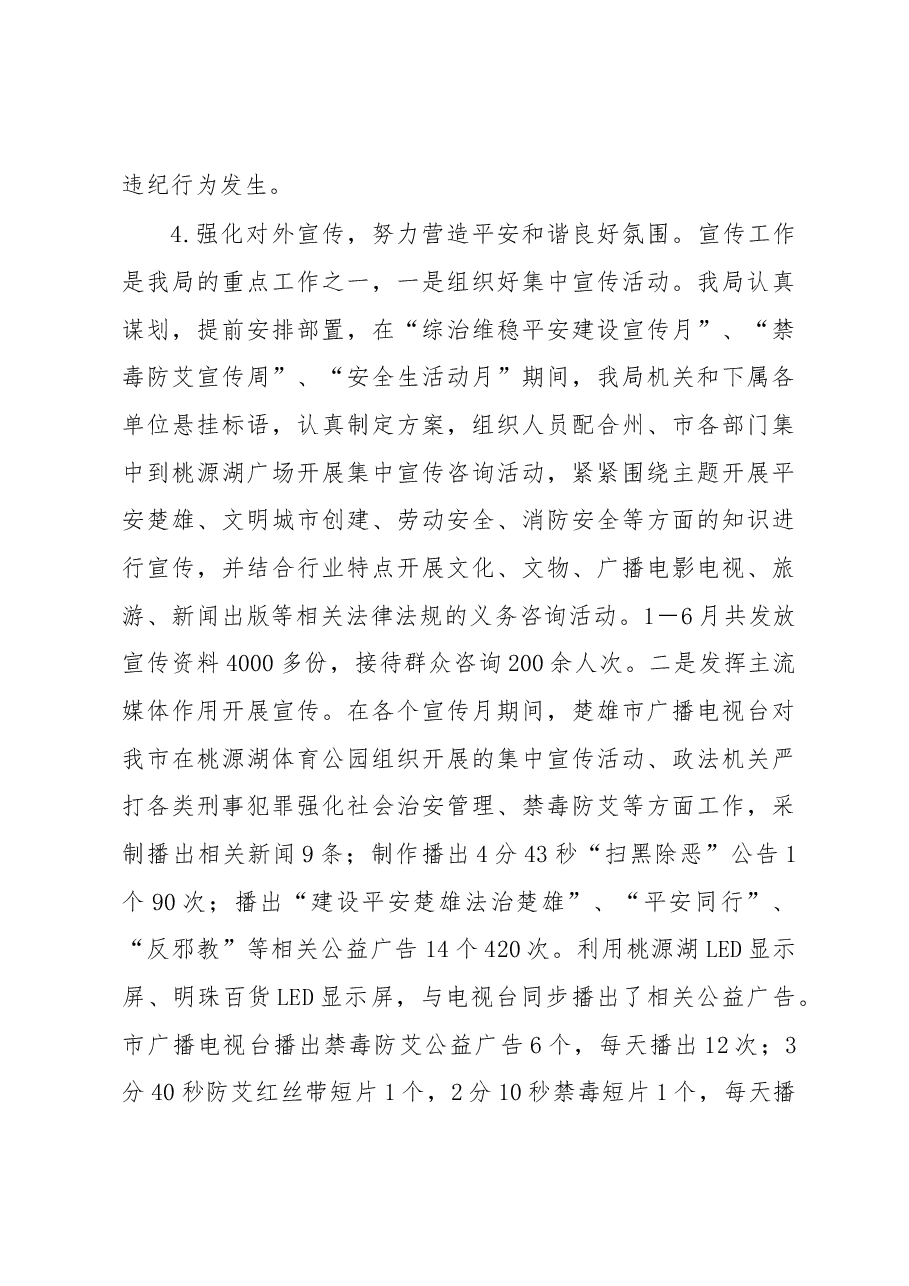 综治维稳工作总结材料4.docx,第4页预览