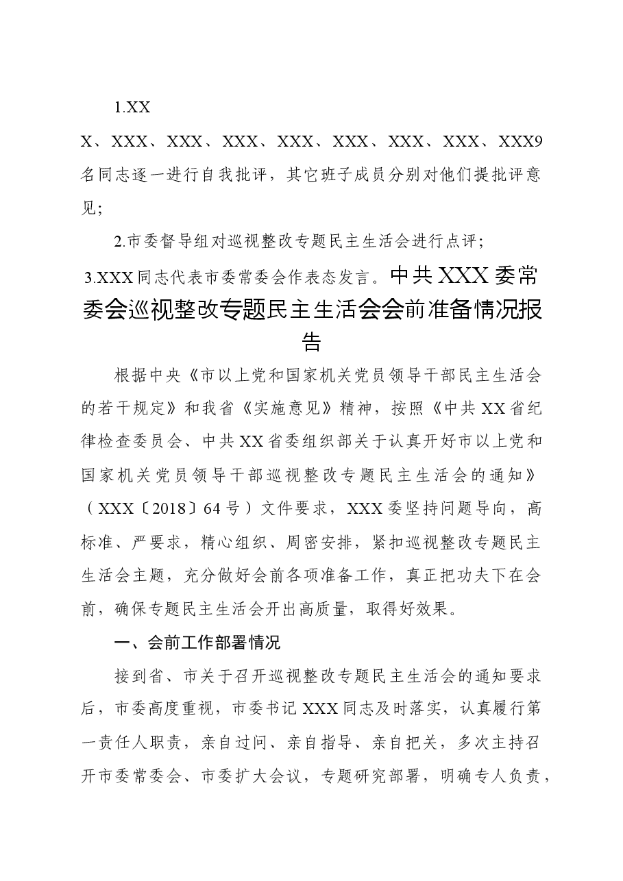 常委会巡视整改专题民主生活会.docx,第3页预览