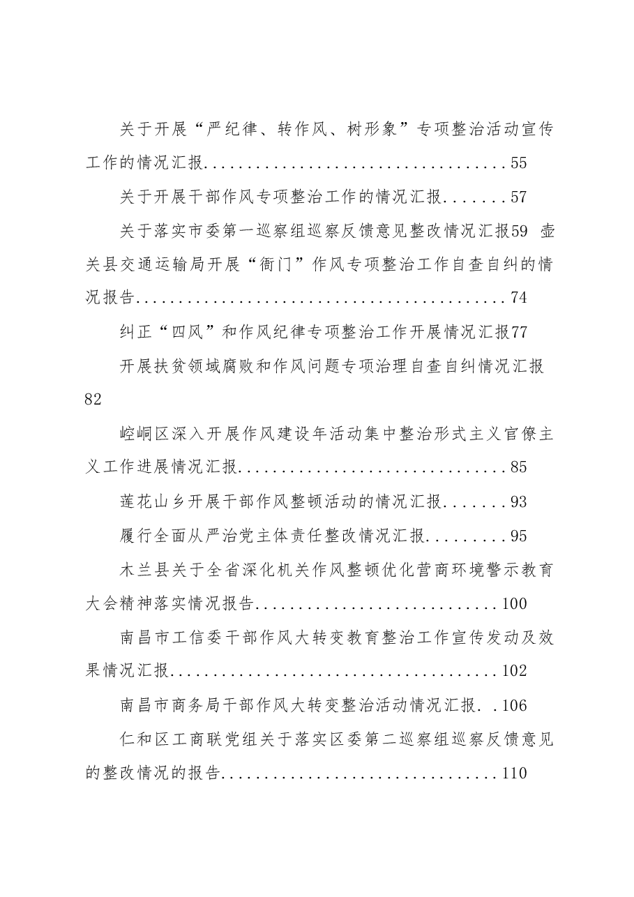 巡视巡察整改、作风建设整顿报告、总结.docx,第2页预览