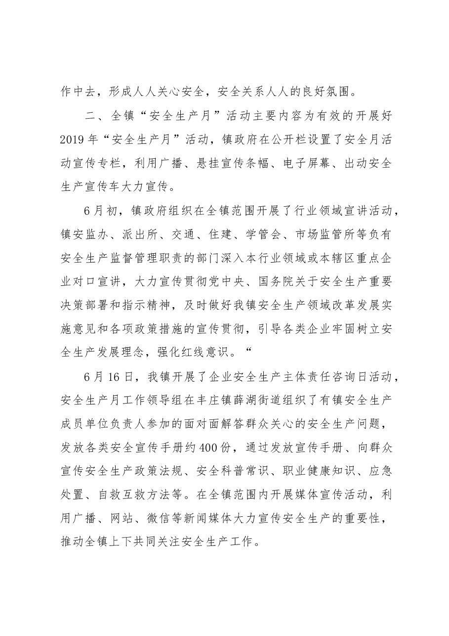 寿县丰庄镇2019年“安全生产月”活动工作总结.docx,第2页预览