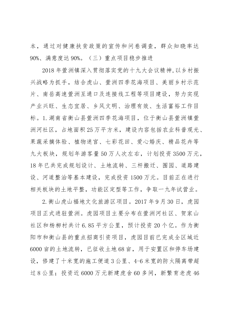 2018年萱洲政府工作总结和2019年工作思路.docx,第3页预览