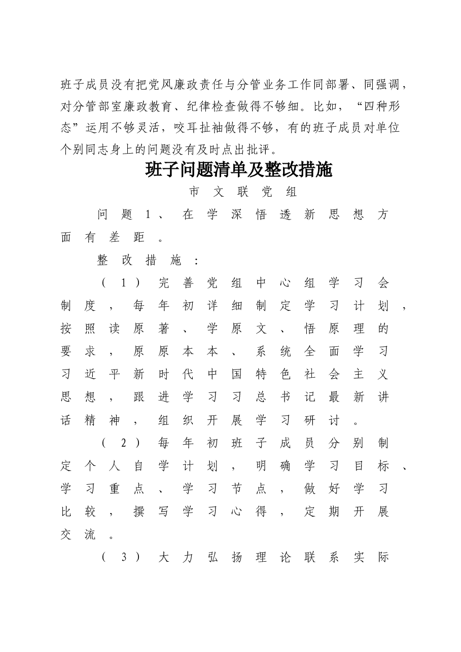 班子问题清单及整改措施11.11.doc,第3页预览