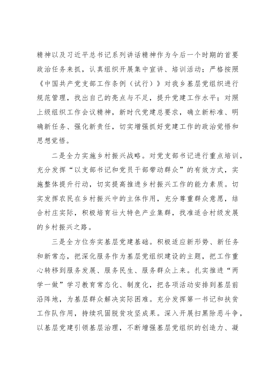 乡镇抓基层党建述职报告.doc,第4页预览