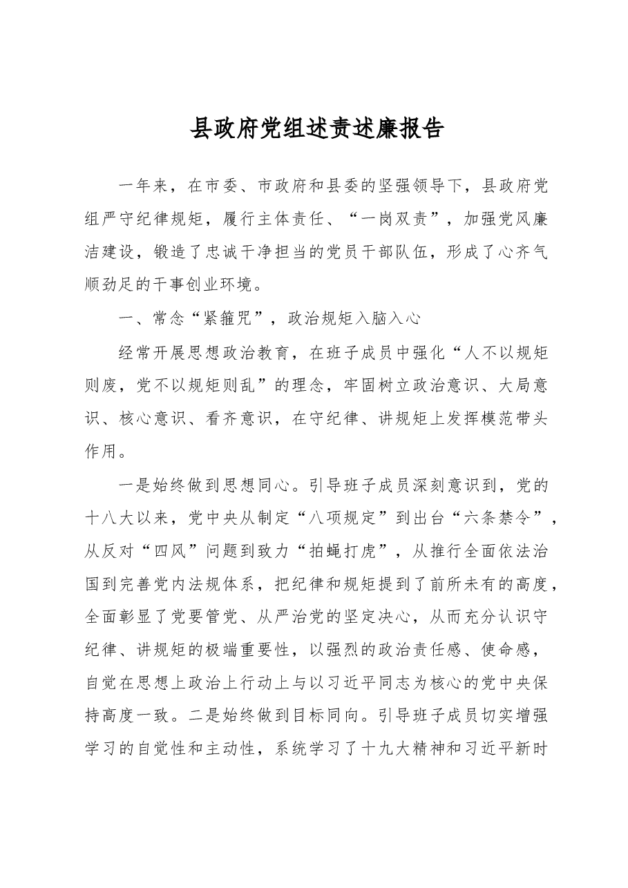 县政府党组述责述廉报告.docx,第1页预览