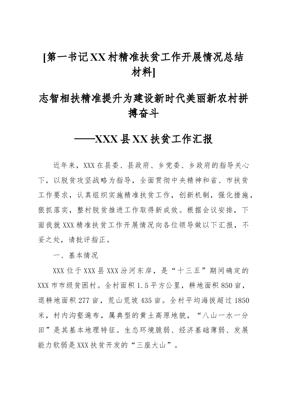 第一书记XX村精准扶贫工作开展情况总结材料.doc，第1页预览