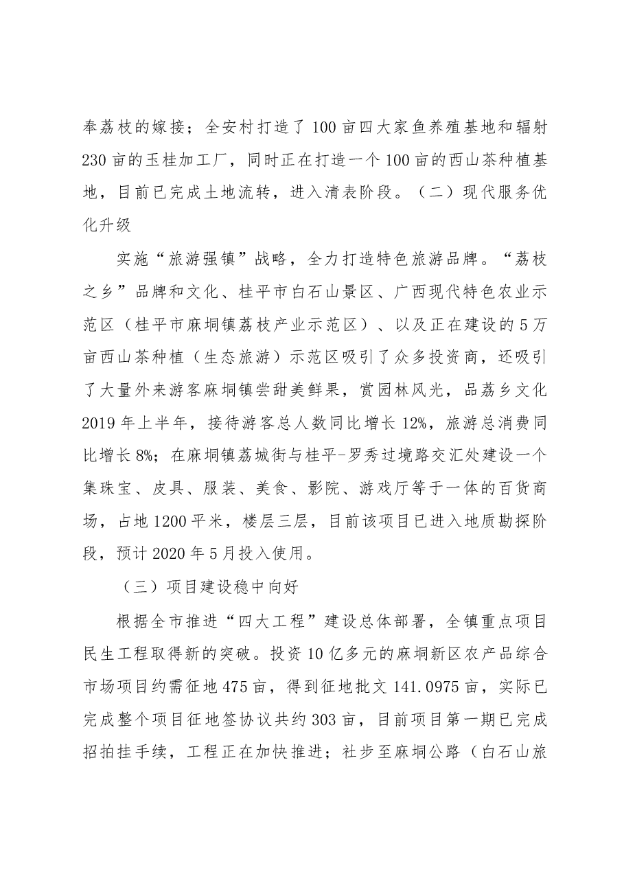 2019年麻垌镇人民政府上半年工作总结及下半年工作计划.docx,第3页预览