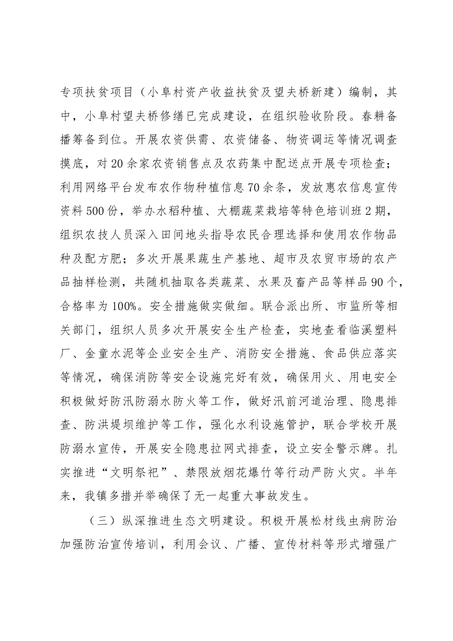 东临溪镇2019年上半年工作总结及下半年工作谋划.docx,第3页预览