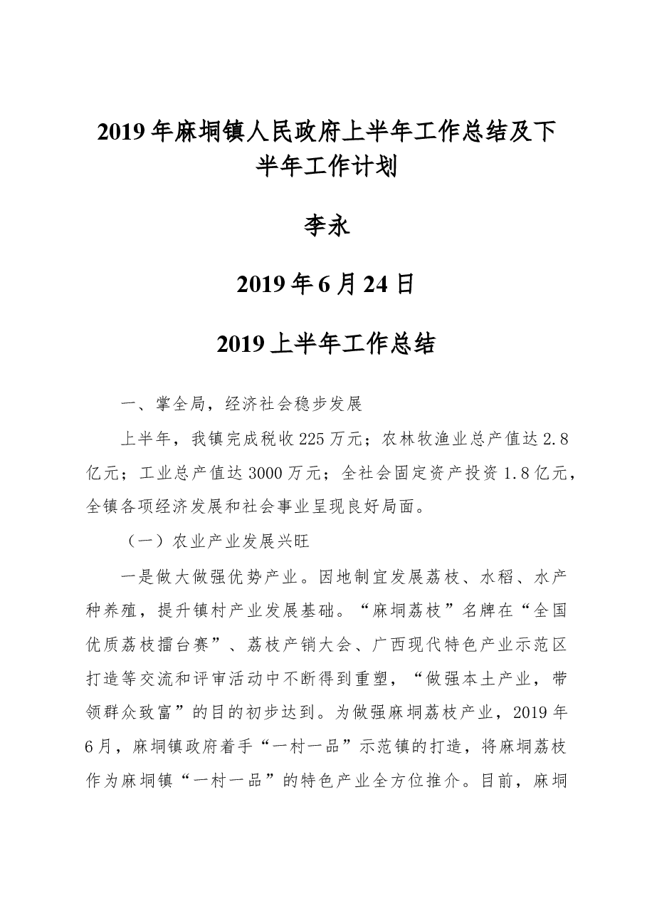 2019年麻垌镇人民政府上半年工作总结及下半年工作计划.docx,第1页预览
