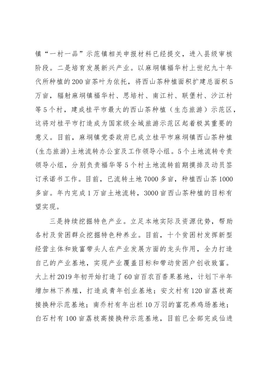 2019年麻垌镇人民政府上半年工作总结及下半年工作计划.docx,第2页预览