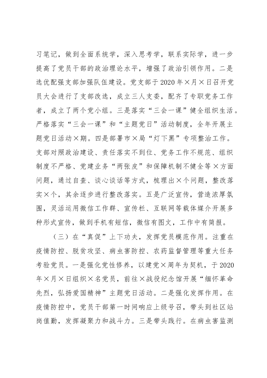 X市X站党支部书记2020年度抓党建工作述职报告.docx,第2页预览