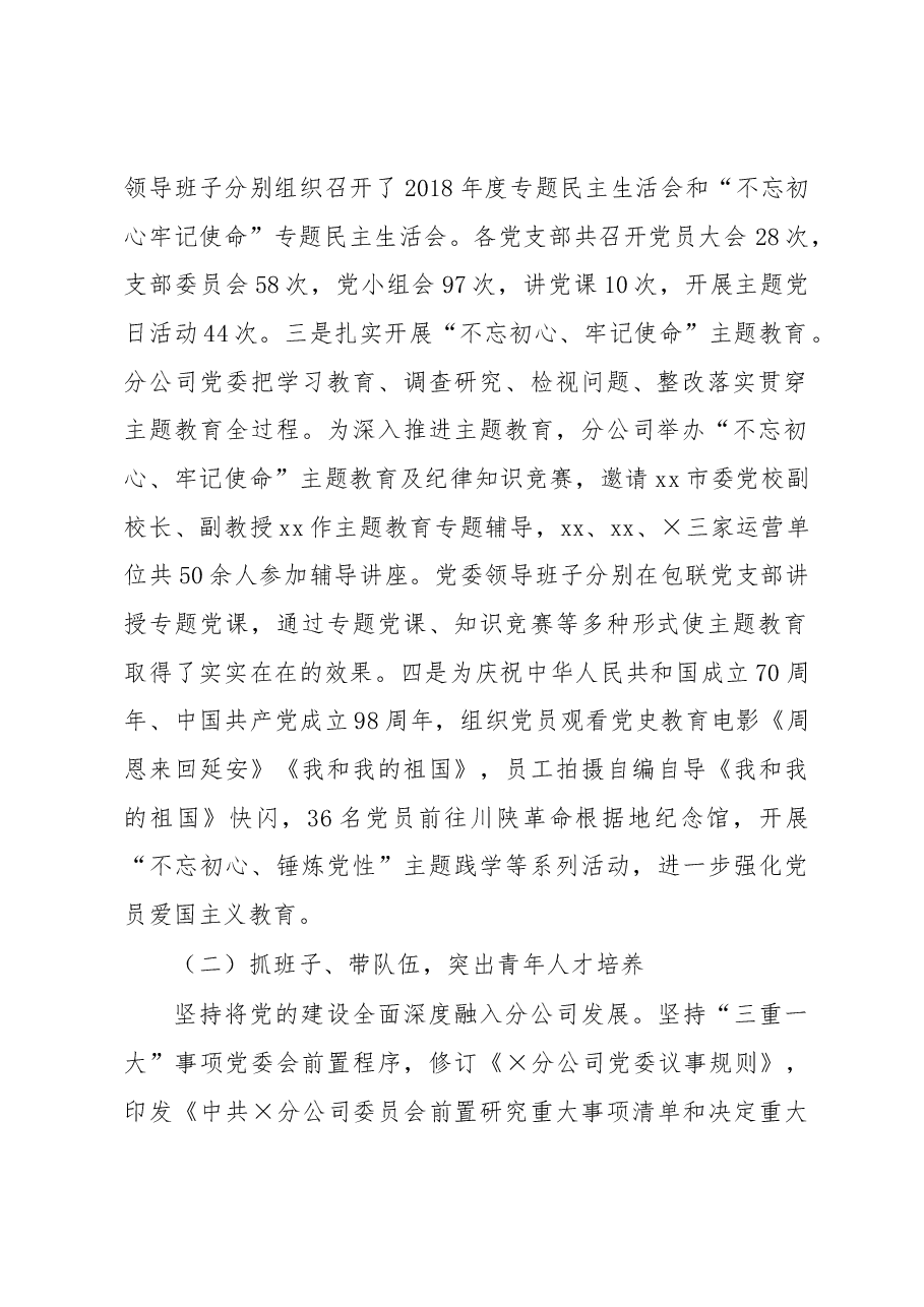 公司党委2019年度党委书记抓党建工作述职报告.docx,第2页预览