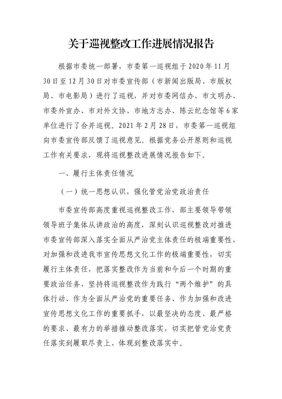 关于巡视整改工作进展情况报告.docx,第1页预览
