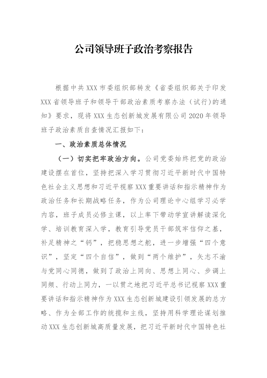 公司领导班子政治考察报告.docx,第1页预览