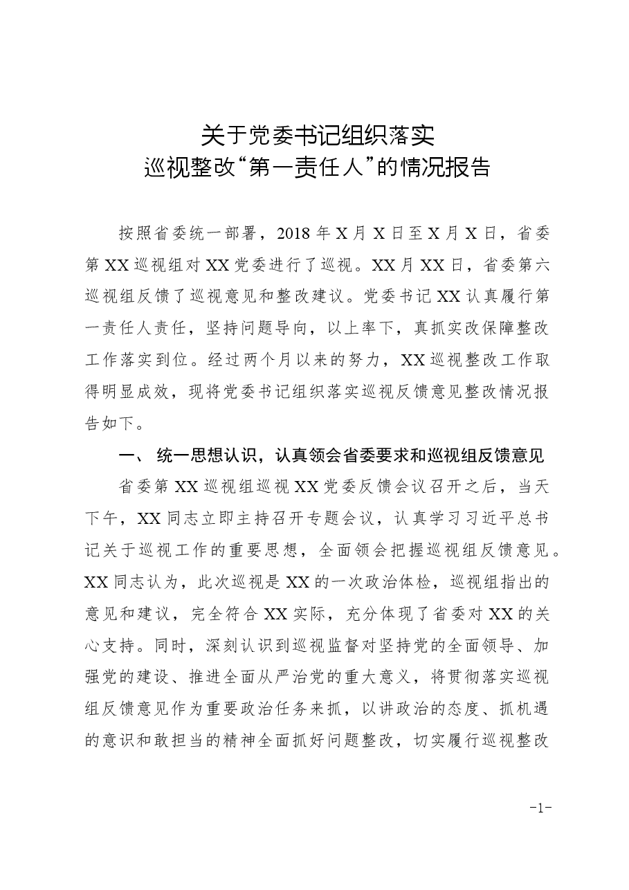 关于党委书记组织落实巡视整改“第一责任人”的情况报告.docx,第1页预览