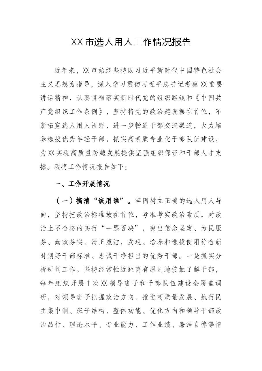 XX市选人用人工作情况报告.docx,第1页预览