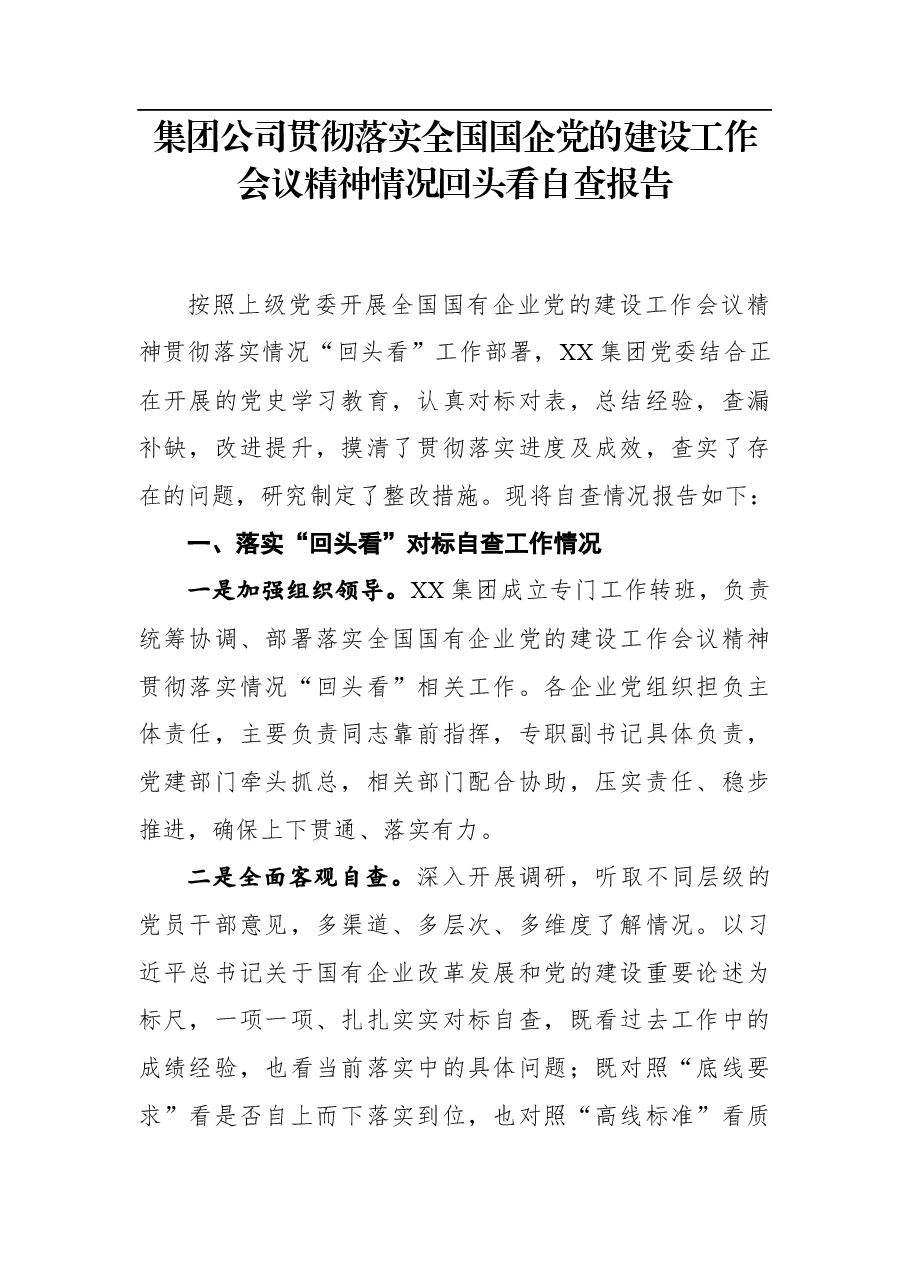 贯彻落实国企党的建设工作会议精神情况回头看自查报告.docx,第1页预览