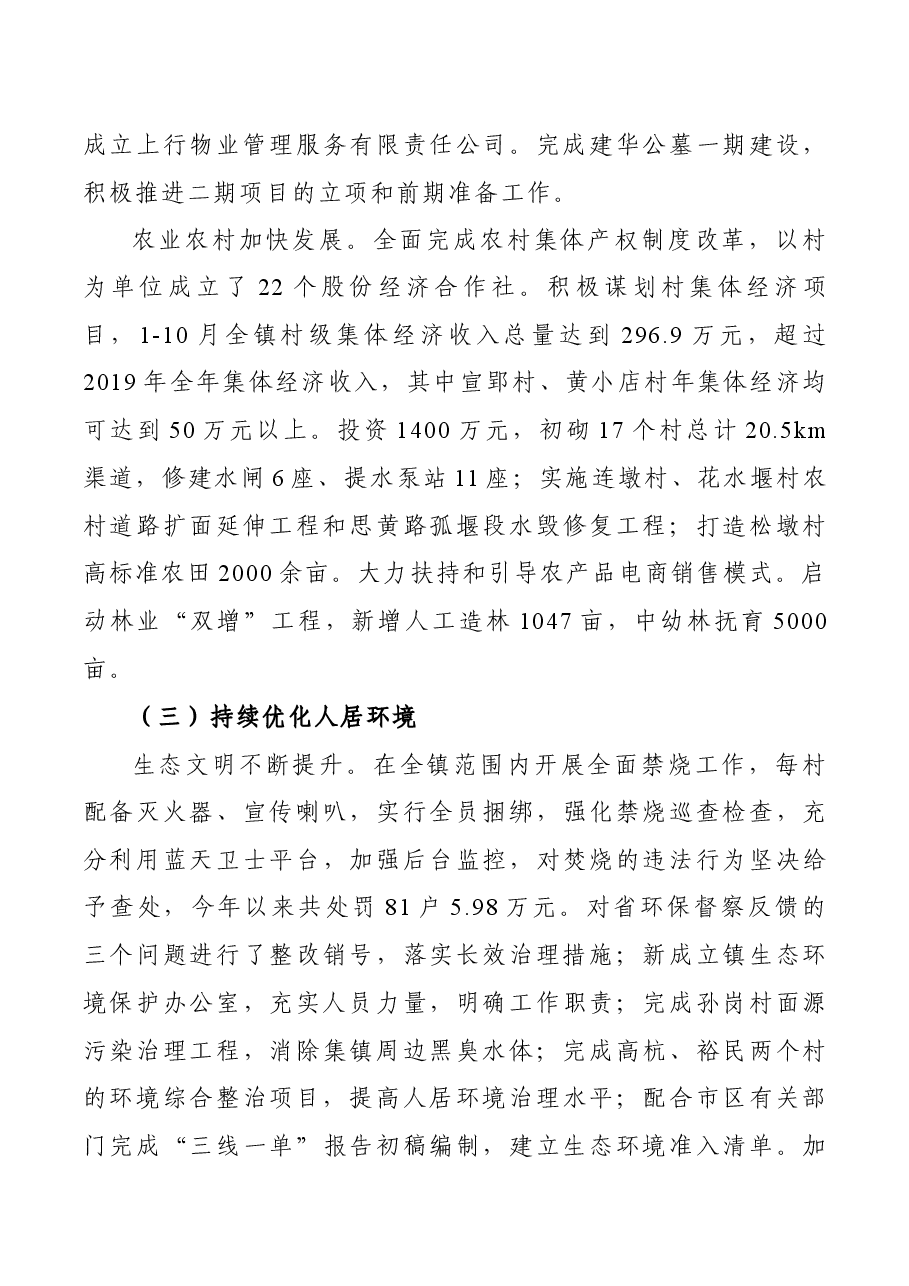 乡镇政府工作报告.docx,第3页预览
